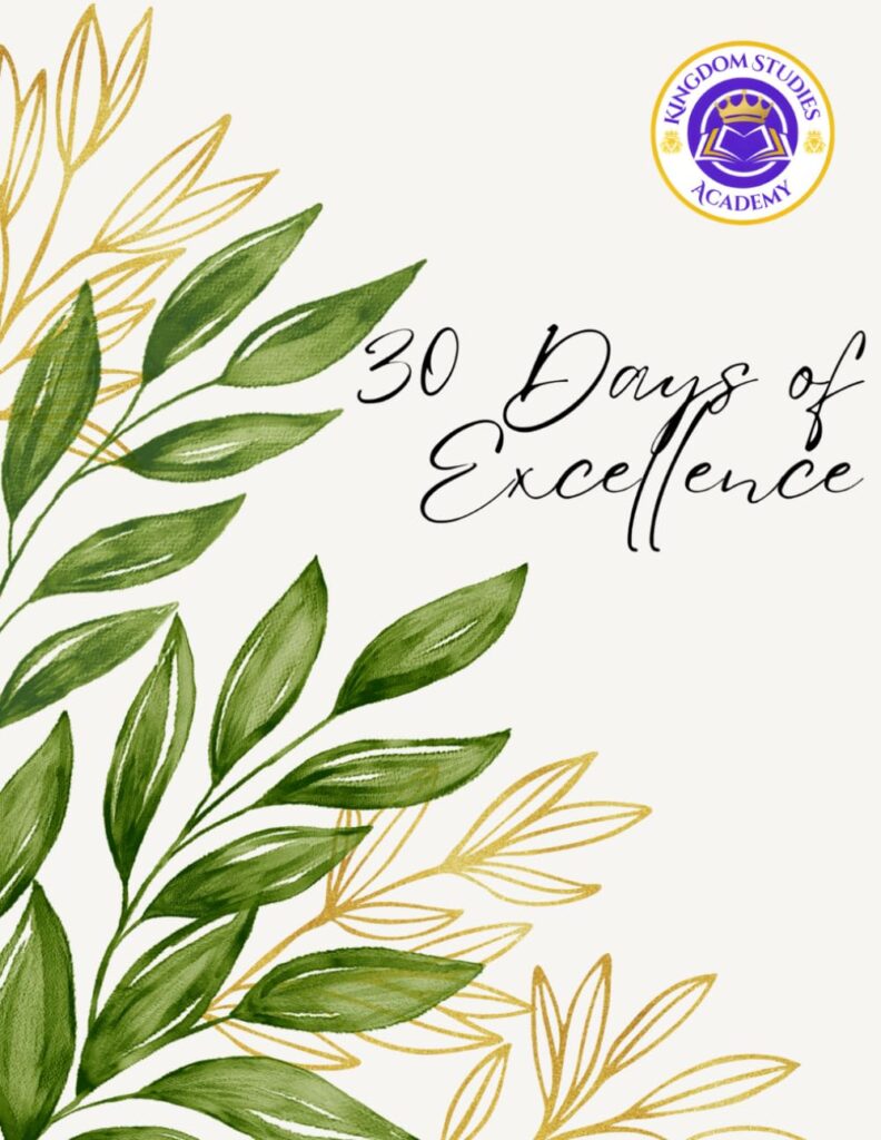 30 Days of Excellence Journal